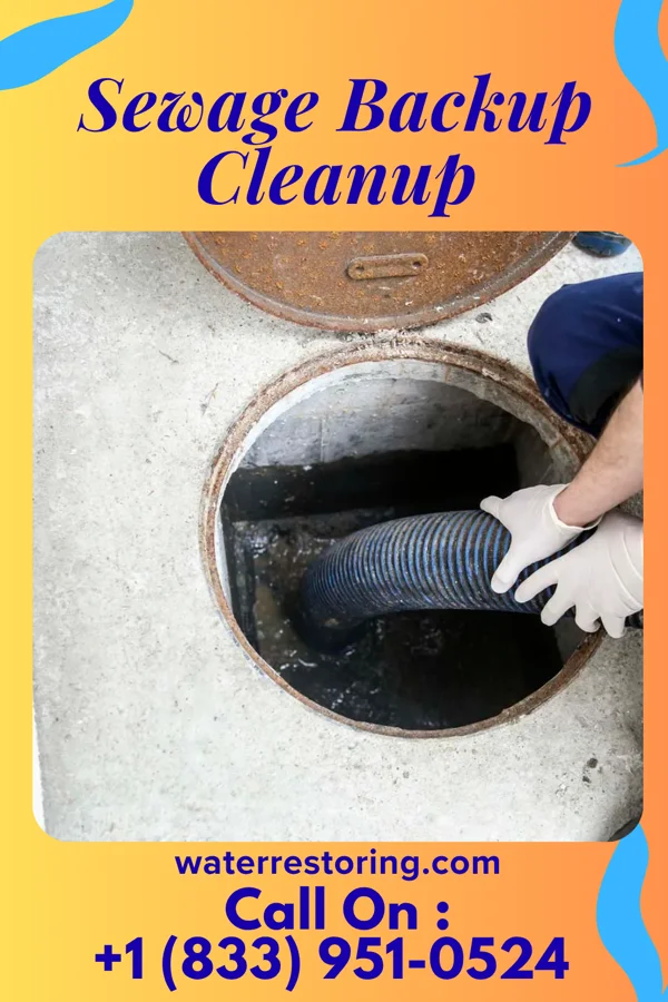 Sewage Backup Cleanup in Flat Rock, IL