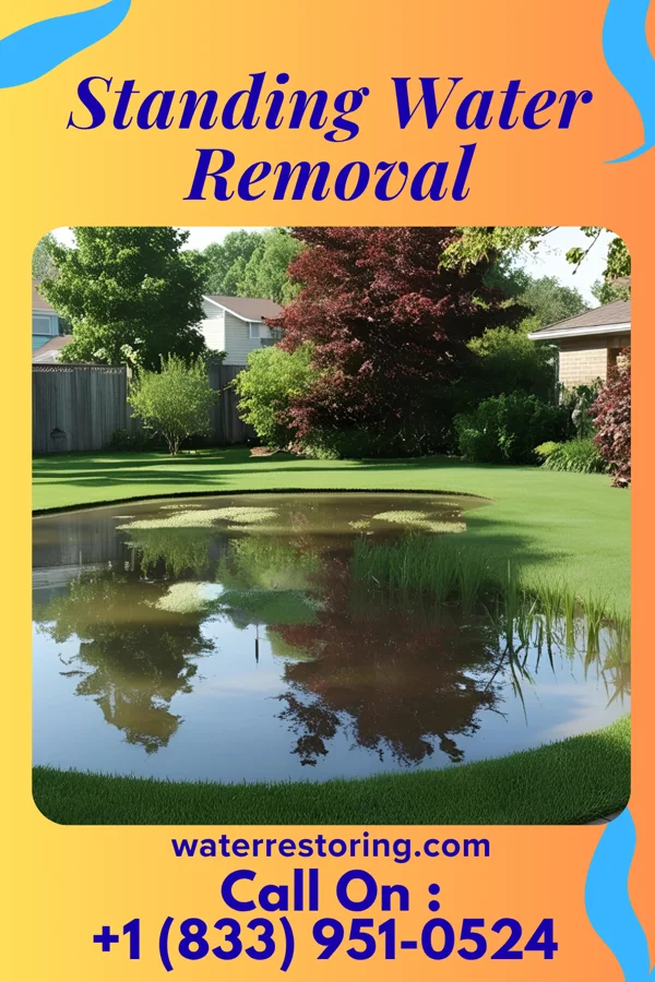 Standing Water Removal in Flat Rock, IL